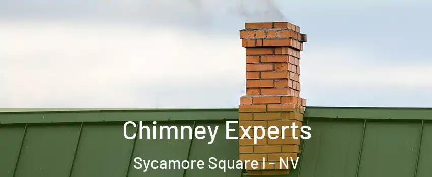 Chimney Experts Sycamore Square I - NV
