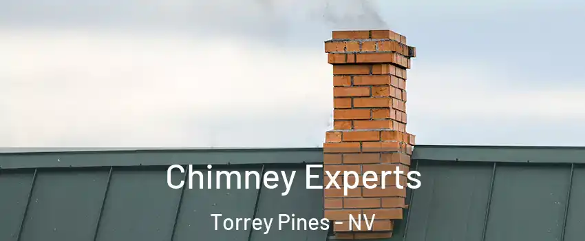 Chimney Experts Torrey Pines - NV