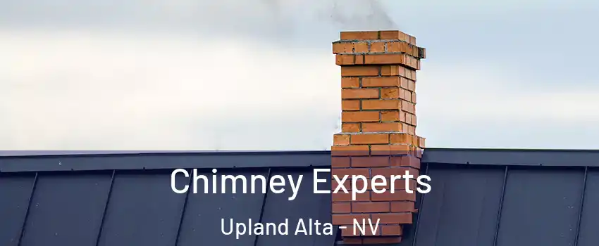 Chimney Experts Upland Alta - NV