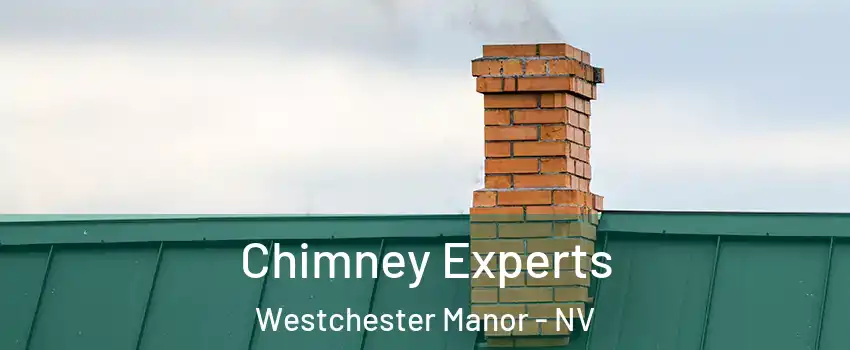 Chimney Experts Westchester Manor - NV