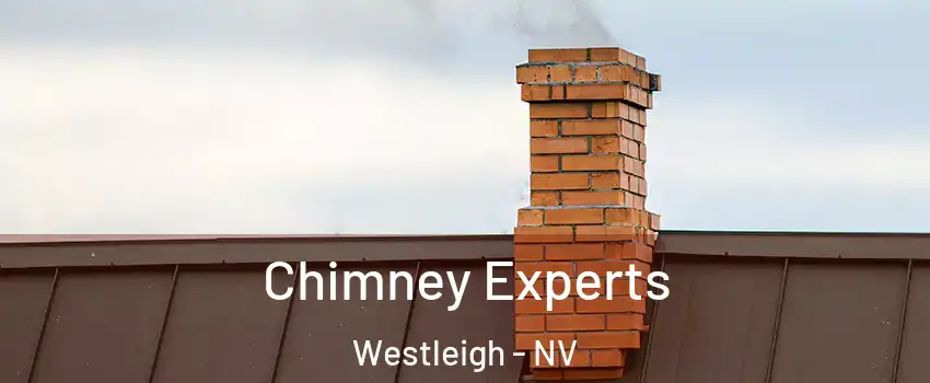 Chimney Experts Westleigh - NV