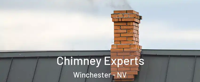 Chimney Experts Winchester - NV