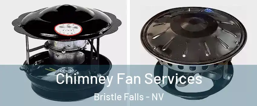 Chimney Fan Services Bristle Falls - NV