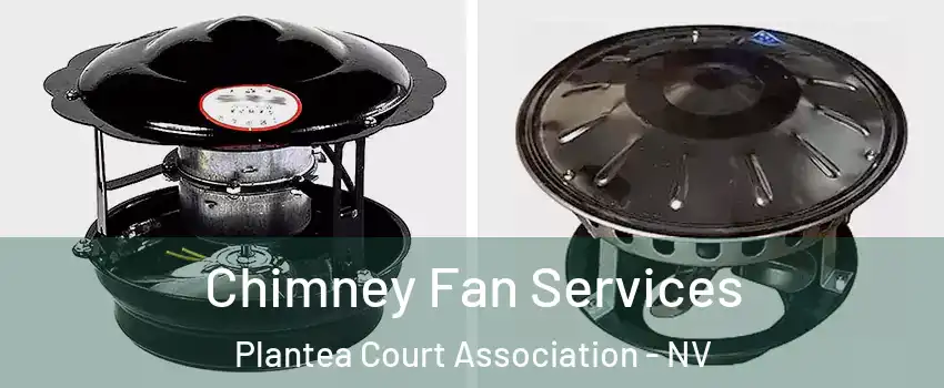 Chimney Fan Services Plantea Court Association - NV