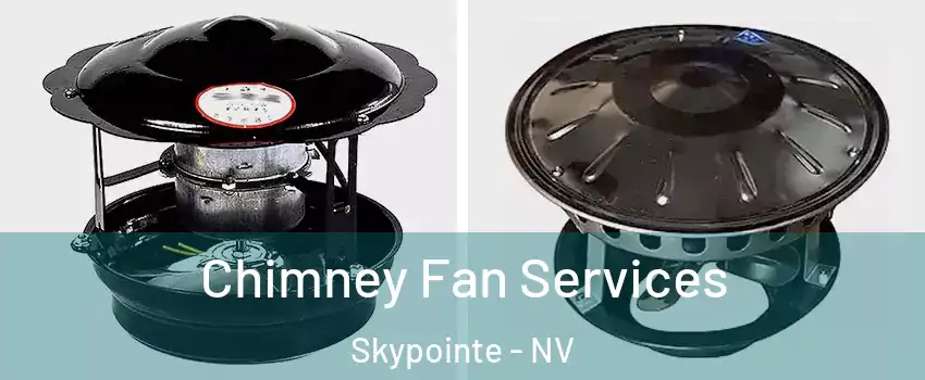 Chimney Fan Services Skypointe - NV