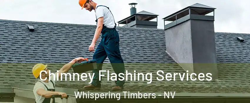 Chimney Flashing Services Whispering Timbers - NV