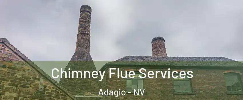 Chimney Flue Services Adagio - NV