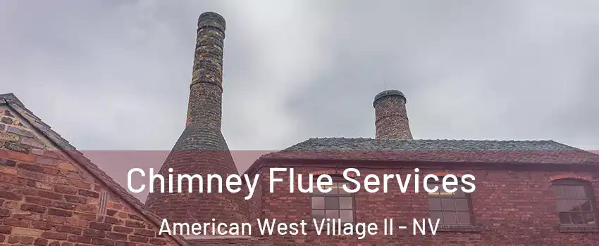 Chimney Flue Services American West Village II - NV
