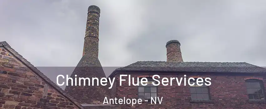 Chimney Flue Services Antelope - NV
