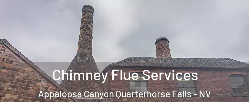 Chimney Flue Services Appaloosa Canyon Quarterhorse Falls - NV