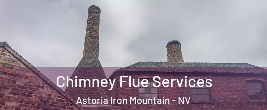 Chimney Flue Services Astoria Iron Mountain - NV