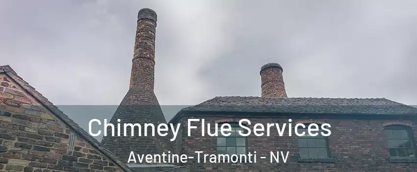 Chimney Flue Services Aventine-Tramonti - NV