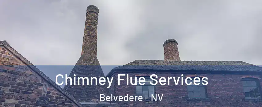 Chimney Flue Services Belvedere - NV