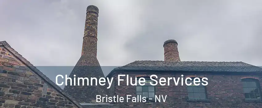 Chimney Flue Services Bristle Falls - NV