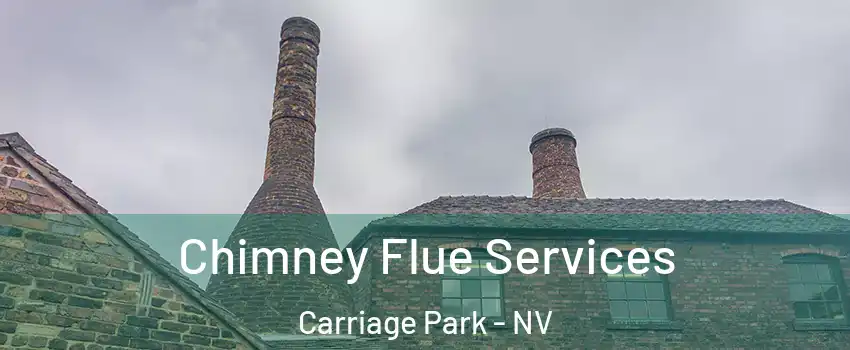 Chimney Flue Services Carriage Park - NV