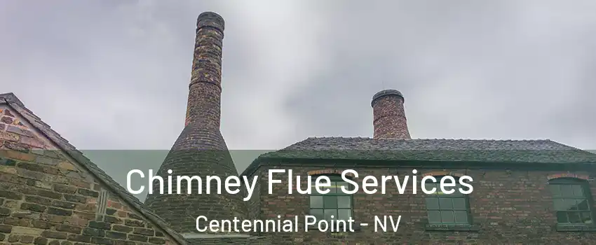 Chimney Flue Services Centennial Point - NV