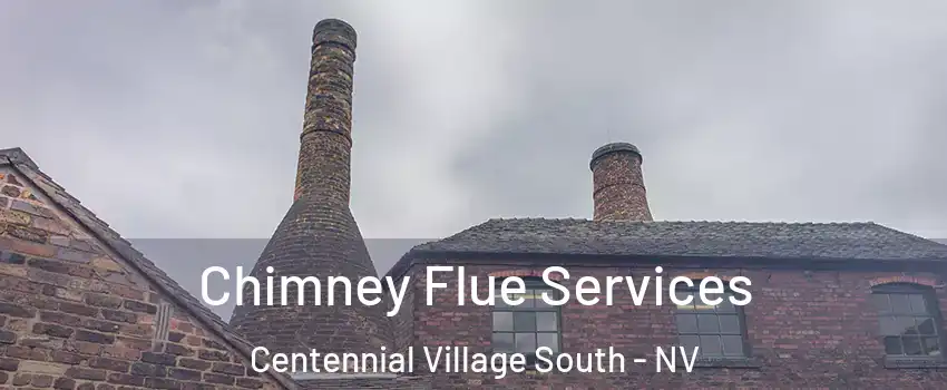 Chimney Flue Services Centennial Village South - NV
