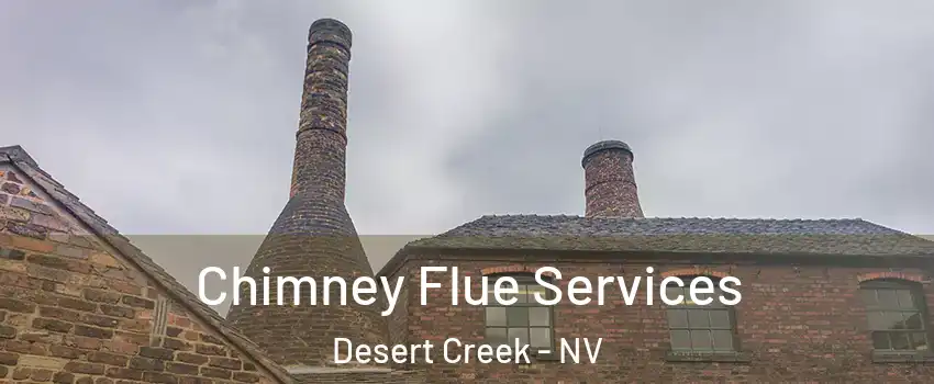 Chimney Flue Services Desert Creek - NV