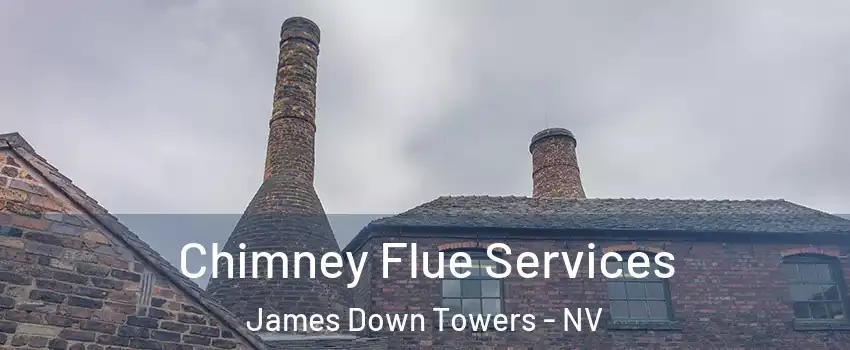 Chimney Flue Services James Down Towers - NV