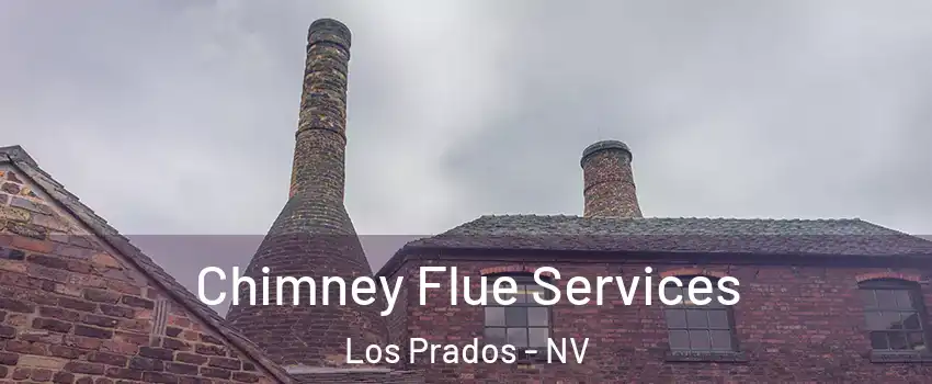 Chimney Flue Services Los Prados - NV