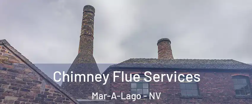 Chimney Flue Services Mar-A-Lago - NV