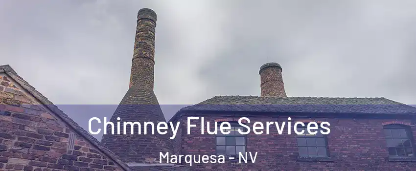 Chimney Flue Services Marquesa - NV