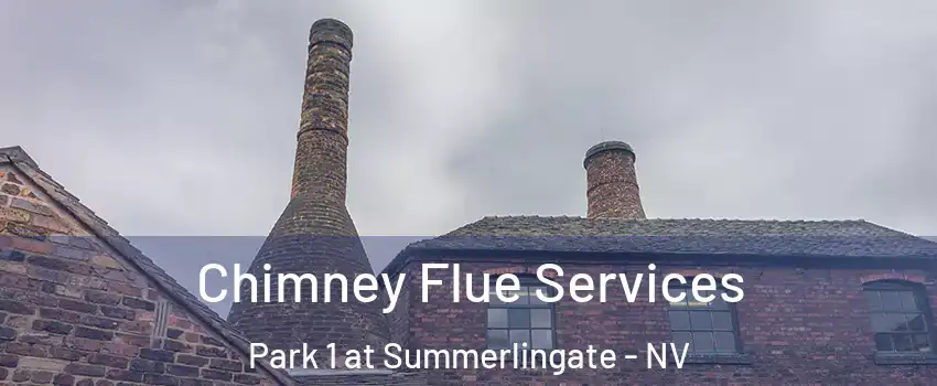 Chimney Flue Services Park 1 at Summerlingate - NV
