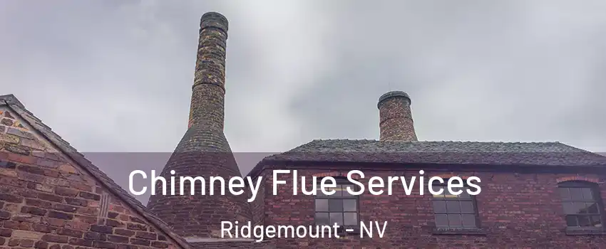 Chimney Flue Services Ridgemount - NV