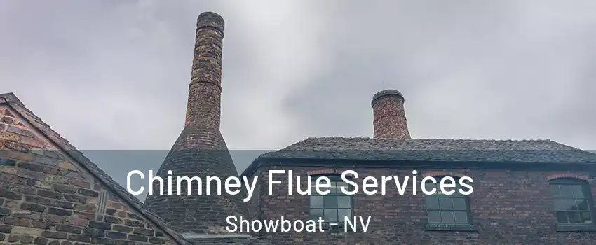 Chimney Flue Services Showboat - NV