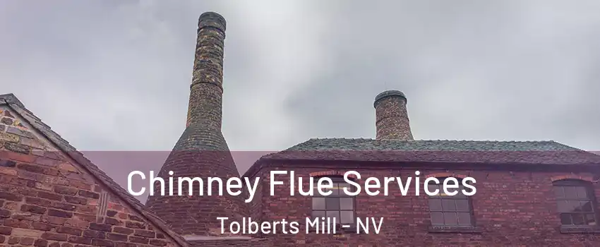 Chimney Flue Services Tolberts Mill - NV