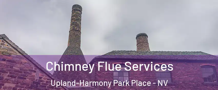 Chimney Flue Services Upland-Harmony Park Place - NV