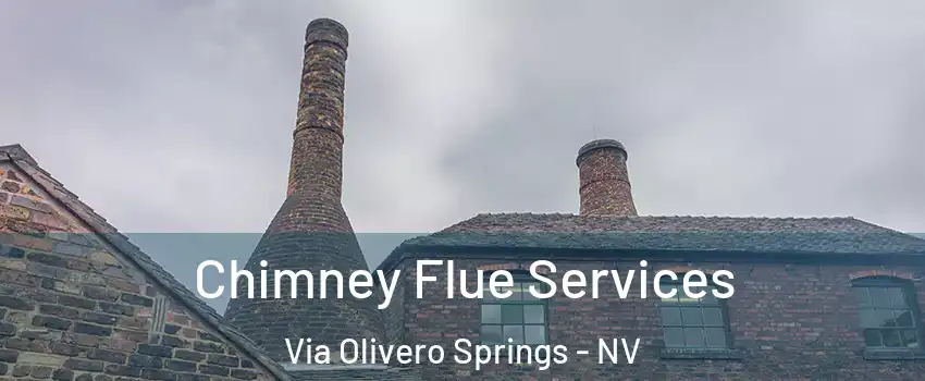 Chimney Flue Services Via Olivero Springs - NV