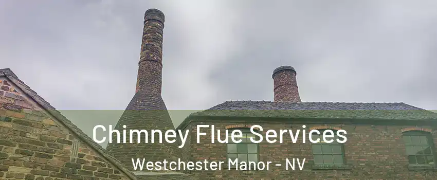 Chimney Flue Services Westchester Manor - NV