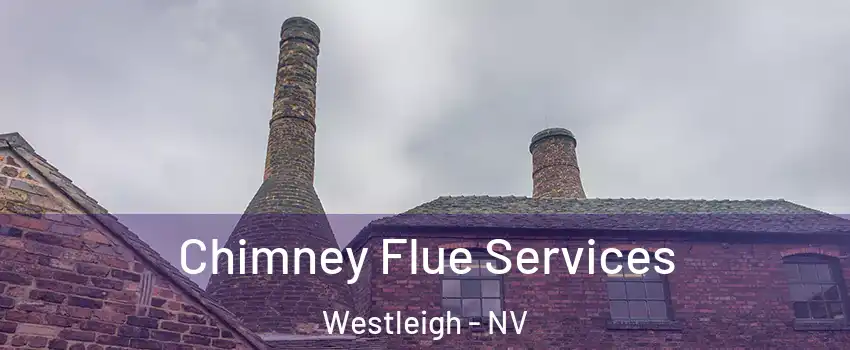 Chimney Flue Services Westleigh - NV