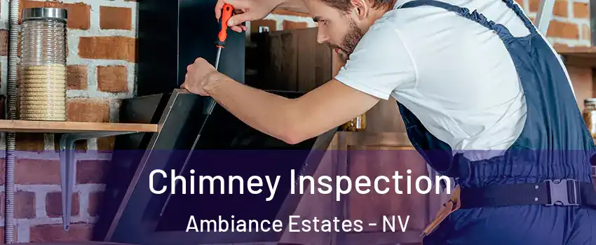 Chimney Inspection Ambiance Estates - NV