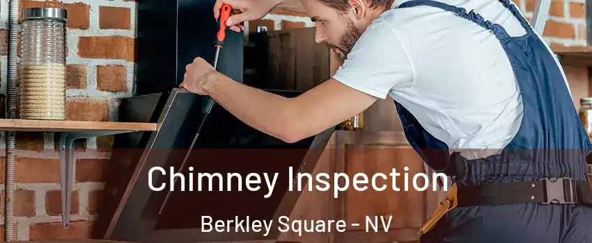 Chimney Inspection Berkley Square - NV