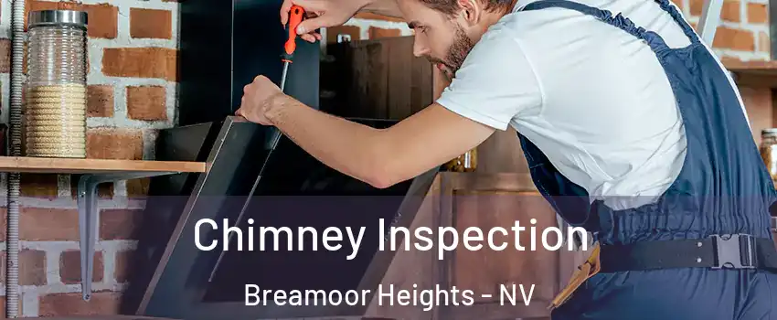Chimney Inspection Breamoor Heights - NV
