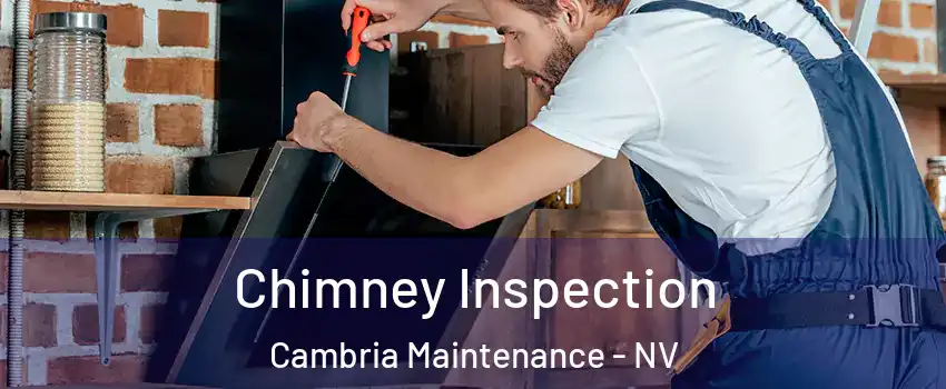 Chimney Inspection Cambria Maintenance - NV