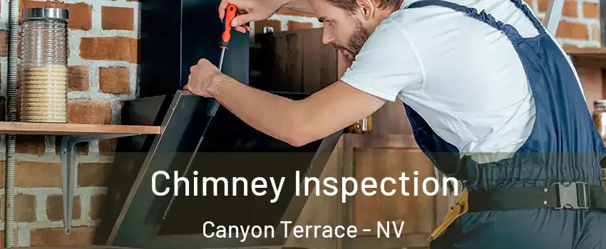 Chimney Inspection Canyon Terrace - NV