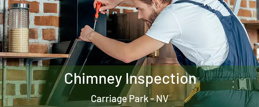 Chimney Inspection Carriage Park - NV