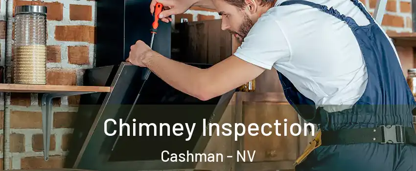 Chimney Inspection Cashman - NV