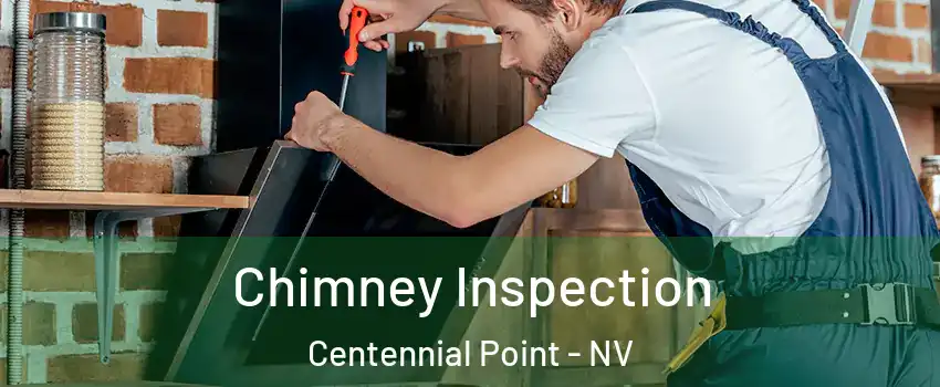 Chimney Inspection Centennial Point - NV