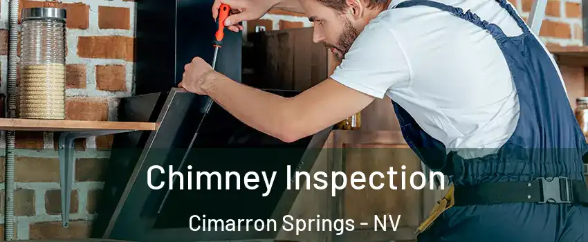 Chimney Inspection Cimarron Springs - NV