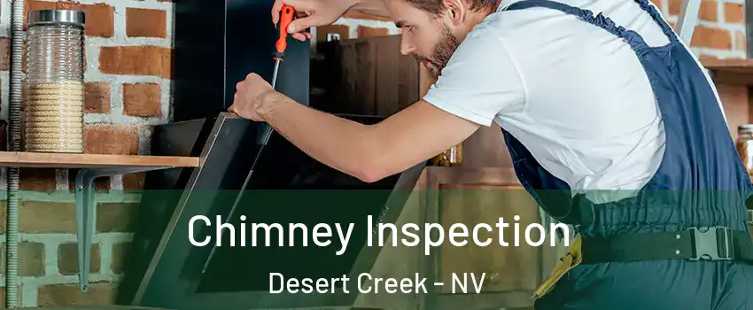 Chimney Inspection Desert Creek - NV