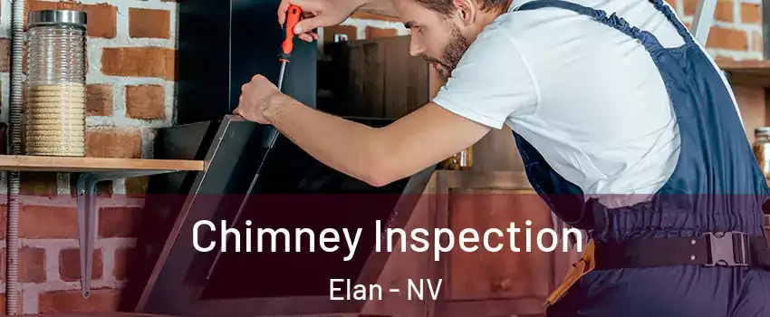Chimney Inspection Elan - NV