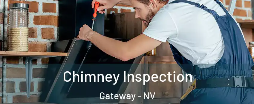 Chimney Inspection Gateway - NV