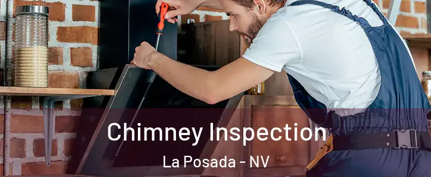 Chimney Inspection La Posada - NV