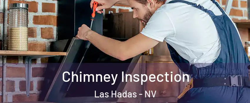 Chimney Inspection Las Hadas - NV
