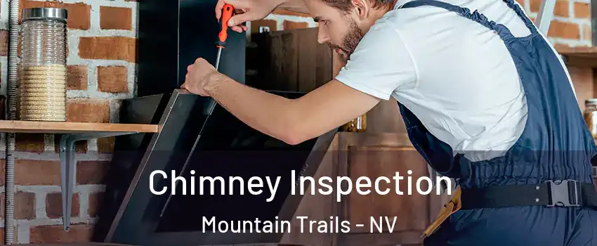 Chimney Inspection Mountain Trails - NV