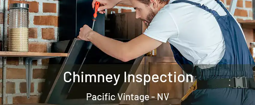 Chimney Inspection Pacific Vintage - NV